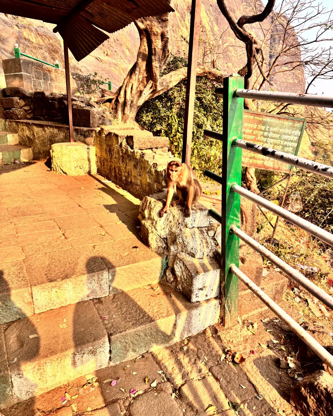 Gangadwar Cave Temple Trimbakeshwar