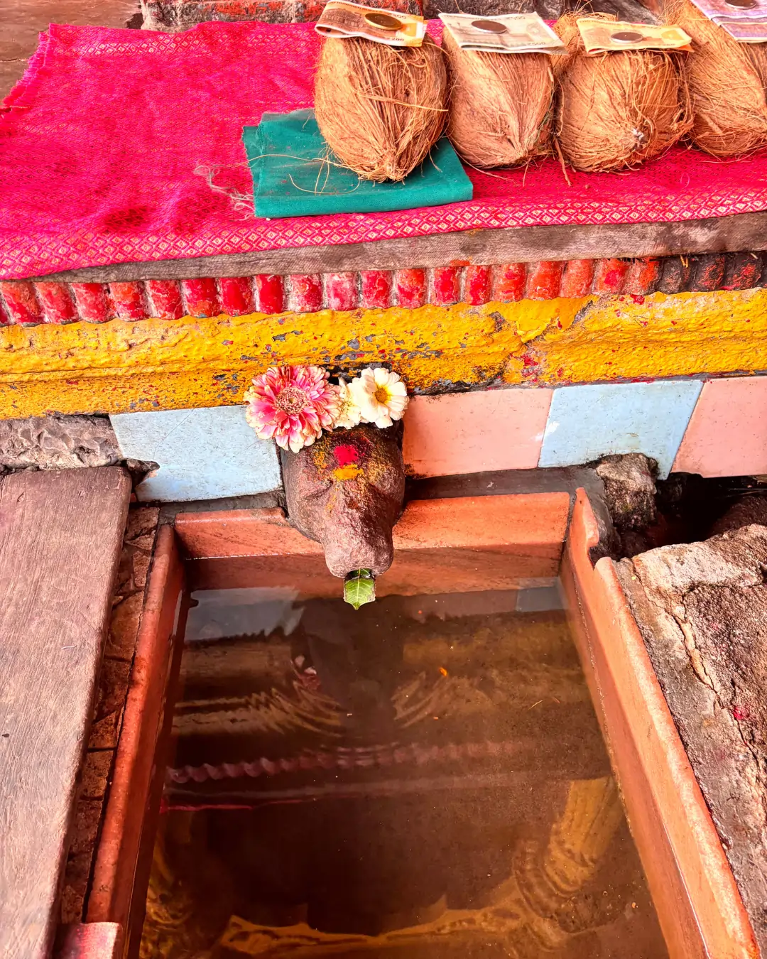 Origin of Godavari River Trimbakeshwar